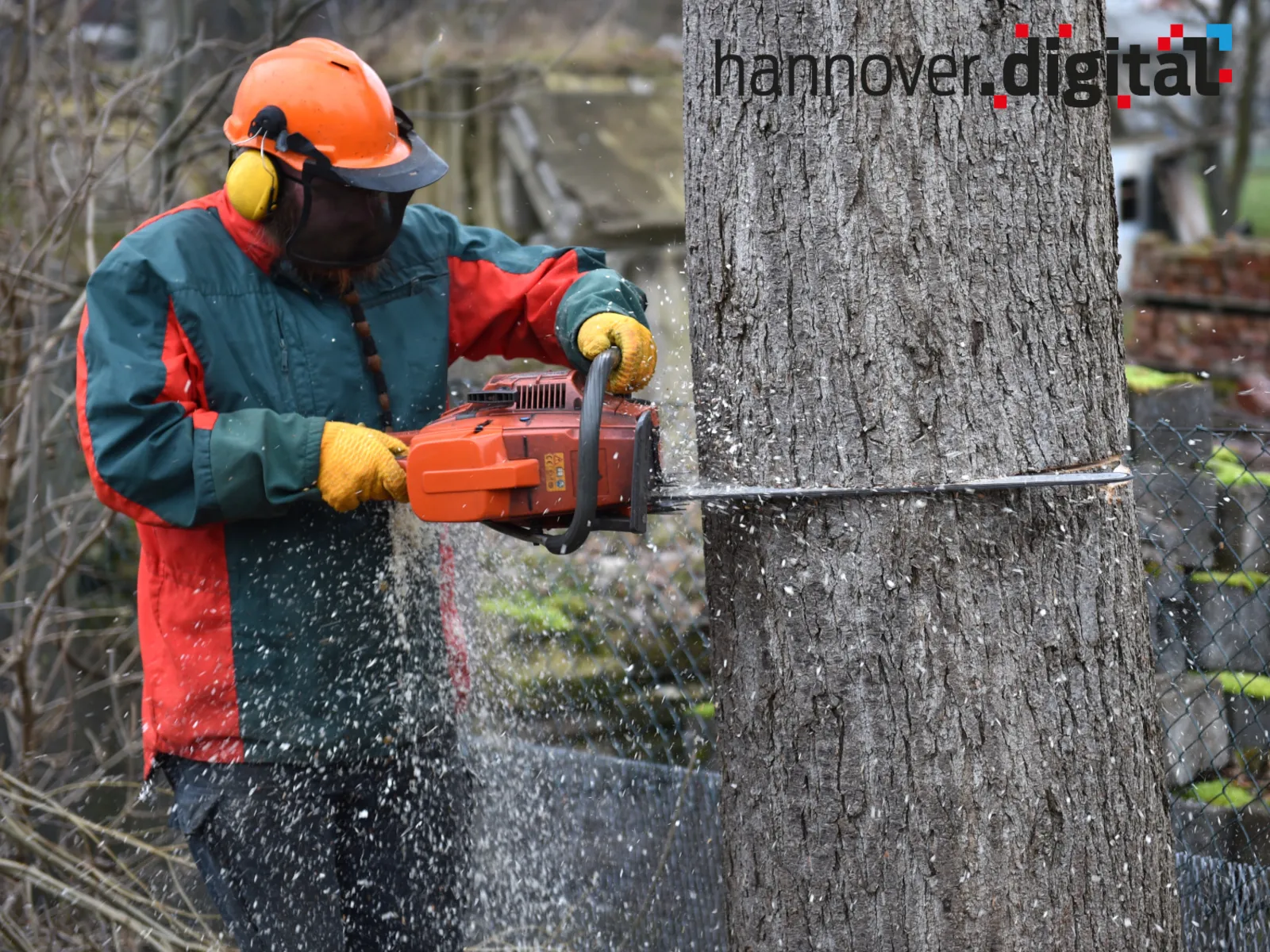 Ein Mann in Arbeitskleidung mit Helm und Gehörschutz hält eine Motorsäge in den Händen und zersägt einen Baumstamm, während Holzspäne umherfliegen.